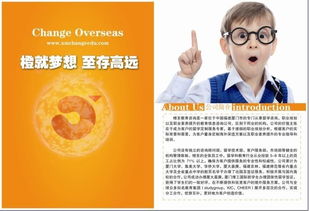 點(diǎn)亮未來，啟迪夢(mèng)想——橙至教育咨詢圖冊(cè)引領(lǐng)教育新航向